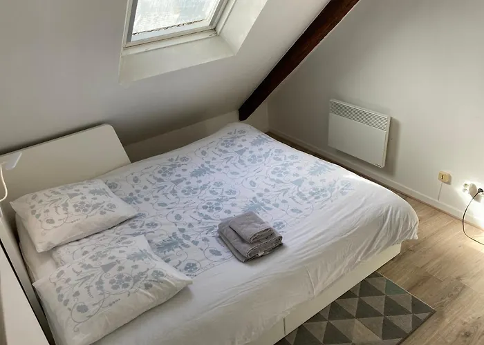 公寓 4 Pers Au Centre Des Remparts *