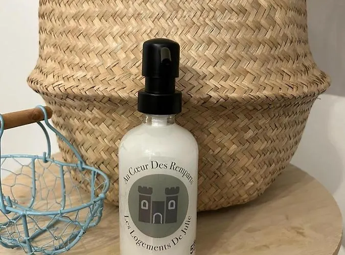 公寓 4 Pers Au Centre Des Remparts *